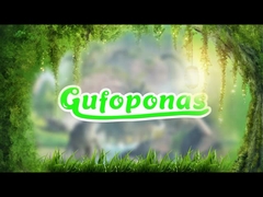 Παιχνίδι εικόνας της Ιουραϊκής Εποχής 20 PCS Mini Dinosaur Figure Set Χειρογραφία